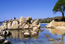 马德里竞技面对挑战，展现强大实力